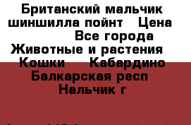 Британский мальчик шиншилла-пойнт › Цена ­ 5 000 - Все города Животные и растения » Кошки   . Кабардино-Балкарская респ.,Нальчик г.